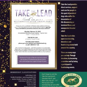 Take the Lead Westminster After-Groups Party